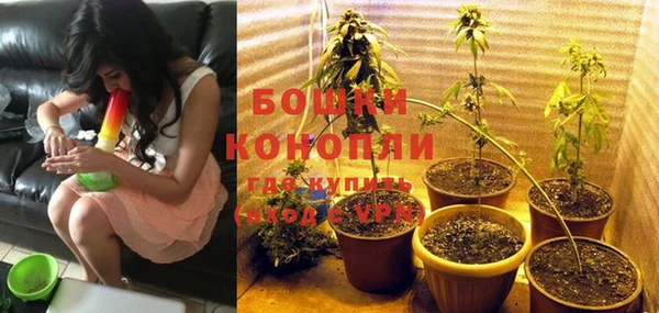 винт Аркадак
