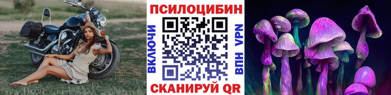 Галлюциногенные грибы Psilocybine cubensis Междуреченск